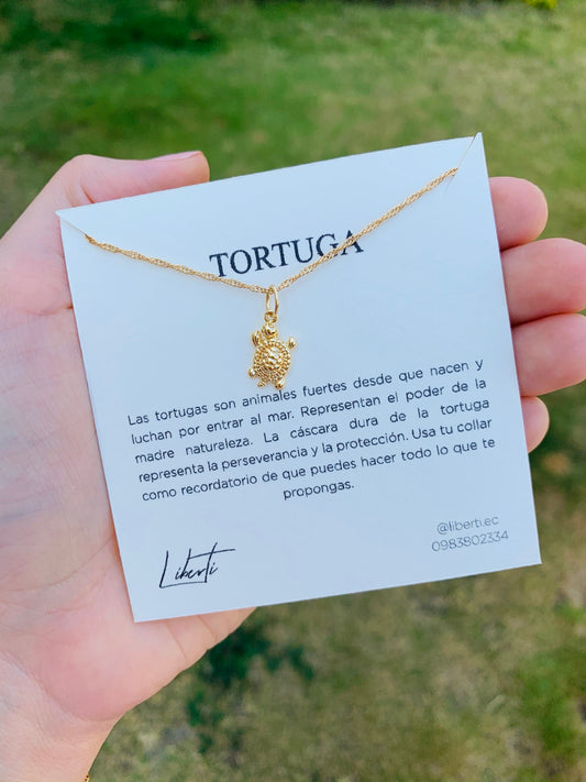 Tortuga